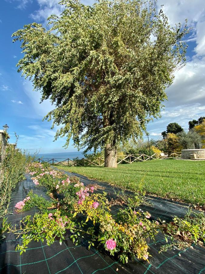 Residenza B&B Vistamare Петаччато Экстерьер фото